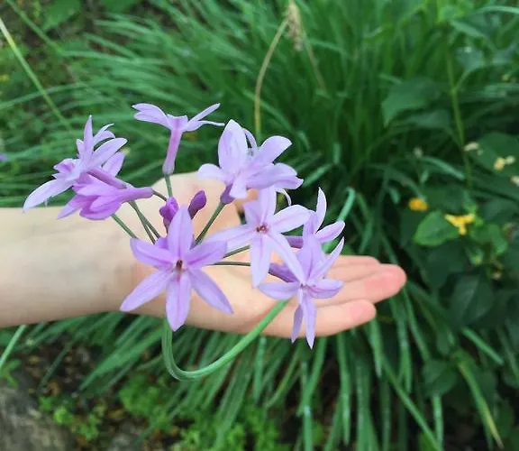 アパート Puerto Banus Luxury Penthouse *