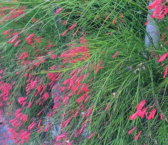 Puerto Banus Luxury Penthouse マルベーリャ