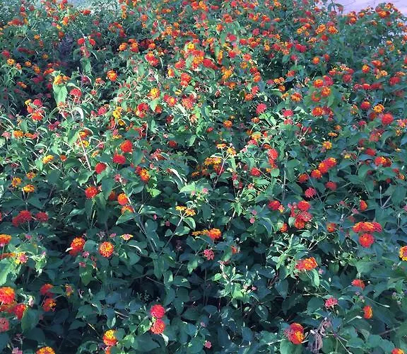 アパート Puerto Banus Luxury Penthouse *