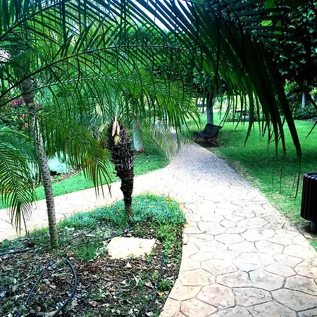 Διαμέρισμα Puerto Banus Luxury Penthouse Μαρμπέλλα