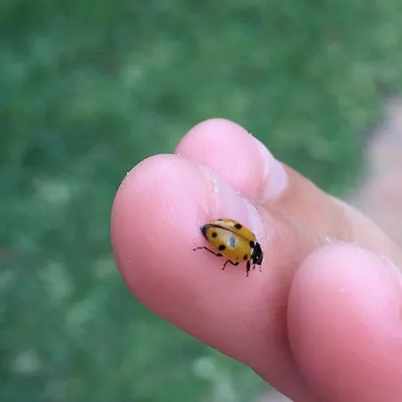 Puerto Banus Luxury Penthouse *