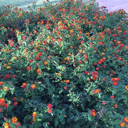 Διαμέρισμα Puerto Banus Luxury Penthouse *