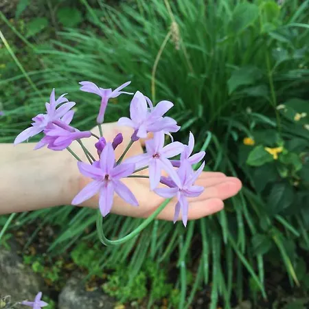 דירה Puerto Banus Luxury Penthouse *