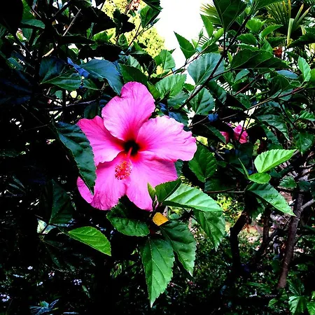 Apartmán Puerto Banus Luxury Penthouse Marbella